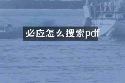 必应怎么搜索pdf