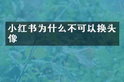 小红书为什么不可以换头像
