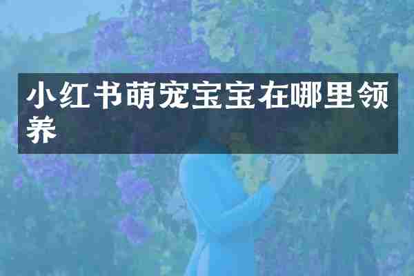 小红书萌宠宝宝在哪里领养