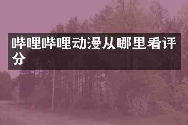 哔哩哔哩动漫从哪里看评分