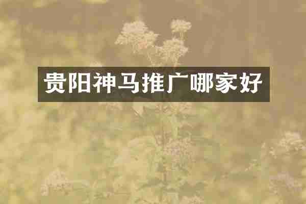 贵阳神马推广哪家好