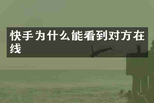 快手为什么能看到对方在线
