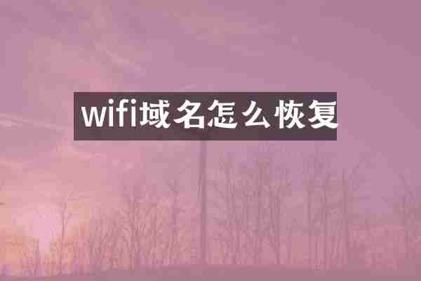 wifi域名怎么恢复