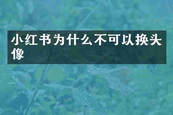 小红书为什么不可以换头像