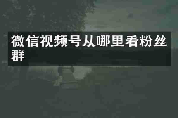 微信视频号从哪里看粉丝群