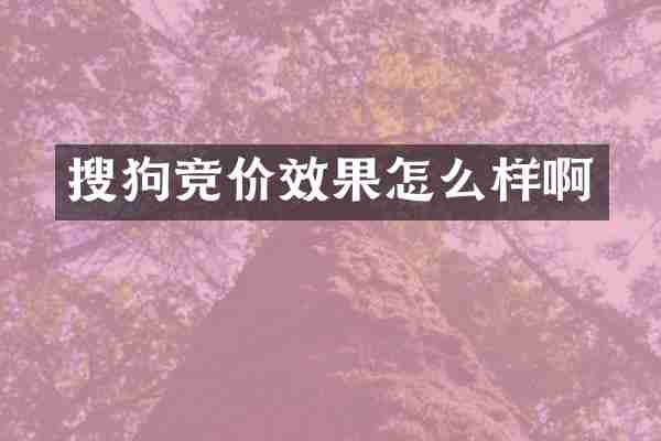 搜狗竞价效果怎么样啊