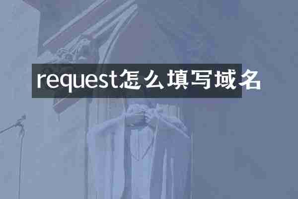 request怎么填写域名