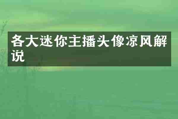 各大迷你主播头像凉风解说