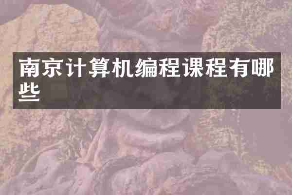 南京计算机编程课程有哪些