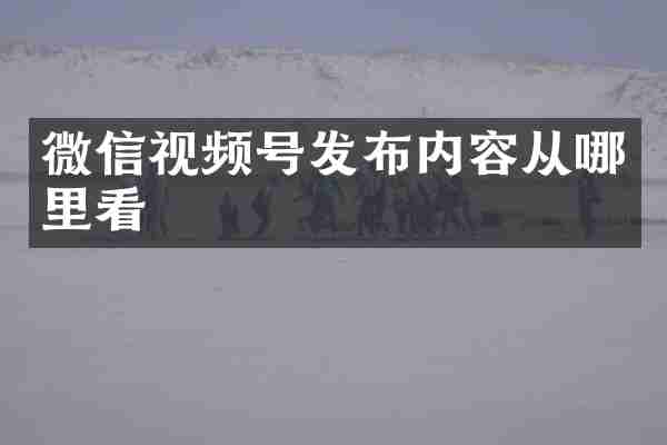 微信视频号发布内容从哪里看