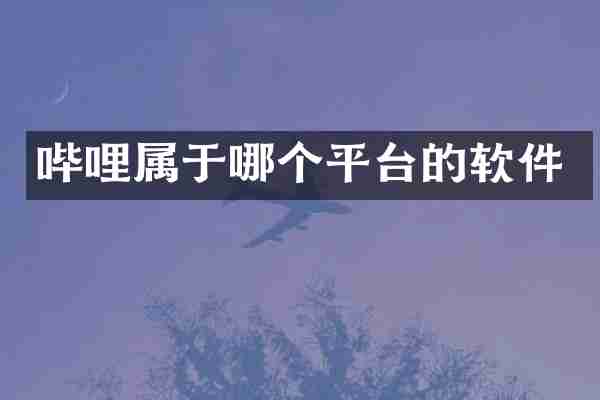 哔哩属于哪个平台的软件