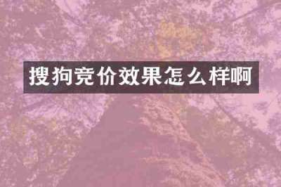 搜狗竞价效果怎么样啊