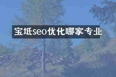 宝坻seo优化哪家专业