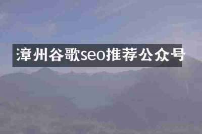 漳州谷歌seo推荐公众号