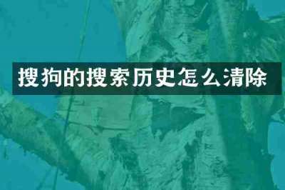 搜狗的搜索历史怎么清除