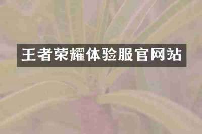 王者荣耀体验服官网站