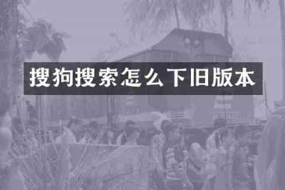 搜狗搜索怎么下旧版本