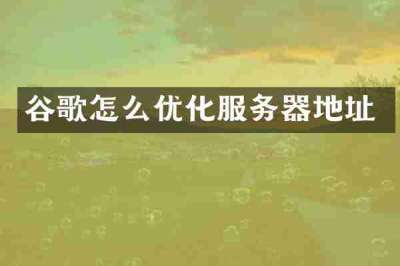 谷歌怎么优化服务器地址