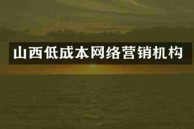 山西低成本网络营销机构