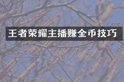 王者荣耀主播赚金币技巧