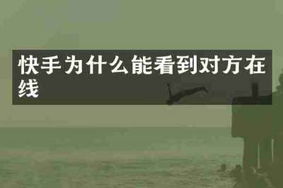 快手为什么能看到对方在线