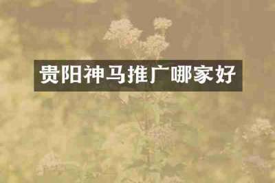贵阳神马推广哪家好