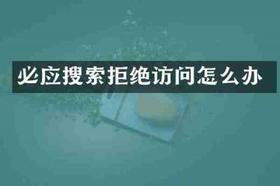 必应搜索拒绝访问怎么办