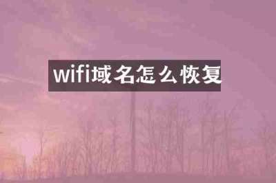 wifi域名怎么恢复