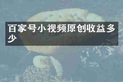 百家号小视频原创收益多少
