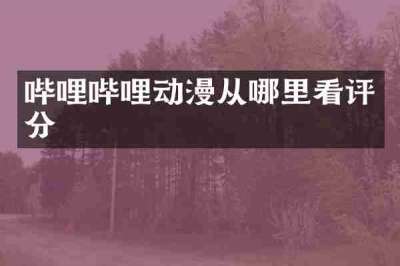 哔哩哔哩动漫从哪里看评分