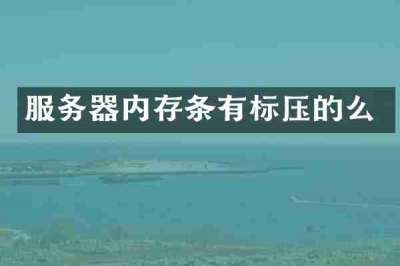 服务器内存条有标压的么
