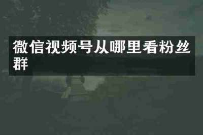 微信视频号从哪里看粉丝群