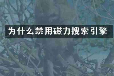 为什么禁用磁力搜索引擎