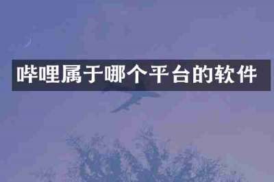 哔哩属于哪个平台的软件