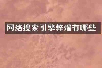 网络搜索引擎弊端有哪些