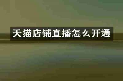 天猫店铺直播怎么开通