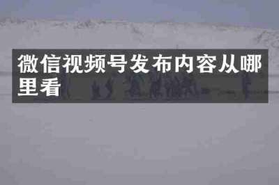 微信视频号发布内容从哪里看