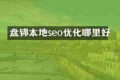 盘锦本地seo优化哪里好