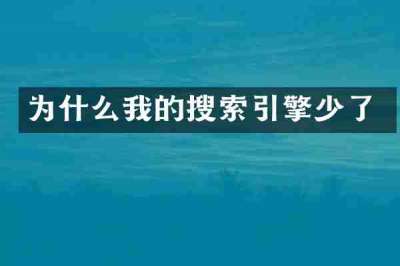 为什么我的搜索引擎少了