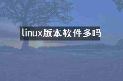 linux版本软件多吗