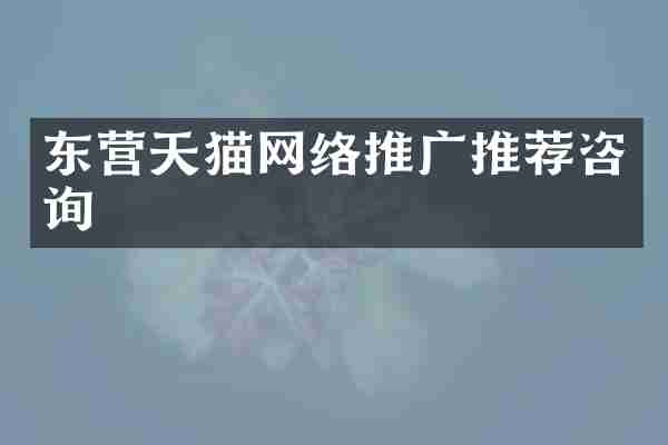 东营天猫网络推广推荐咨询
