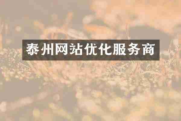 泰州网站优化服务商