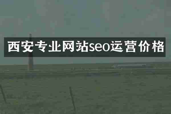 西安专业网站seo运营价格
