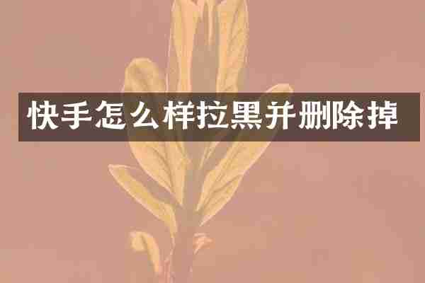 快手怎么样拉黑并删除掉