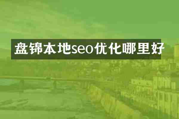 盘锦本地seo优化哪里好
