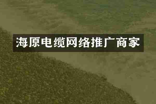 海原电缆网络推广商家