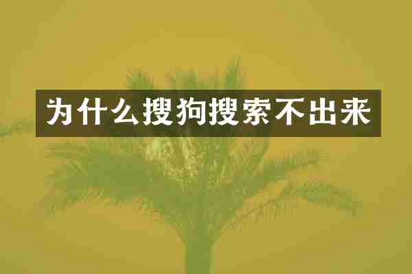 为什么搜狗搜索不出来