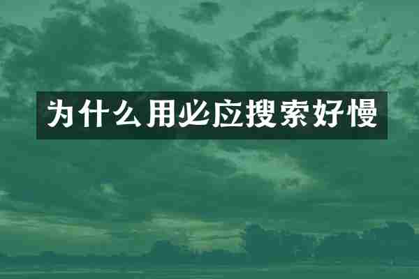 为什么用必应搜索好慢