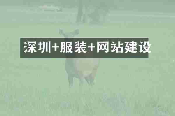 深圳+服装+网站建设