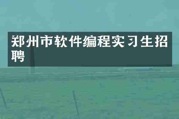 郑州市软件编程实习生招聘